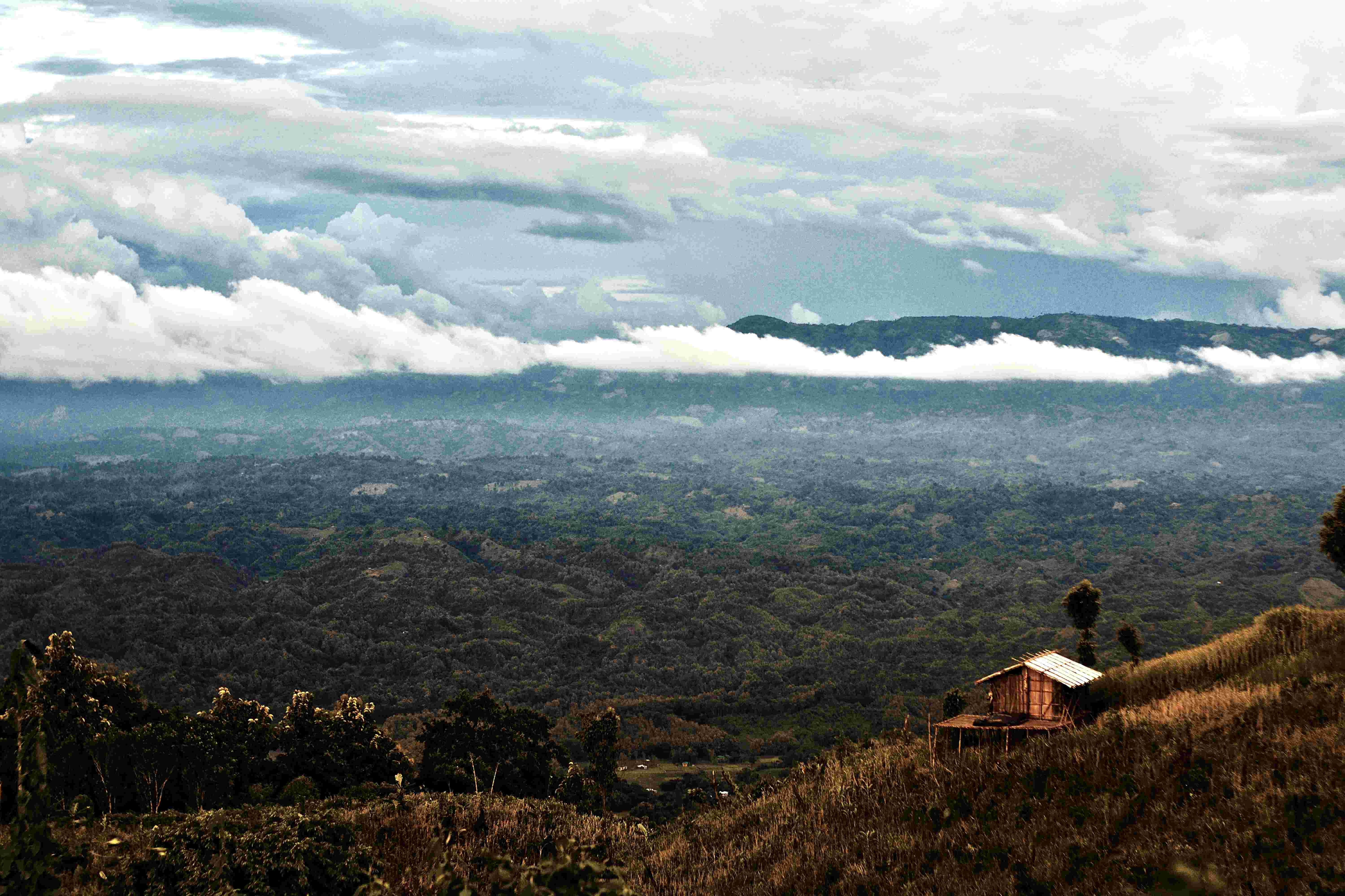 the silent sound of loneliness